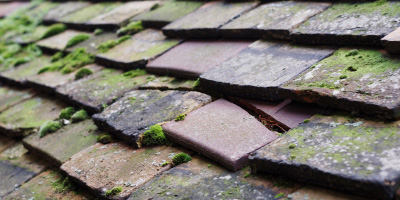 Alciston roof repair costs